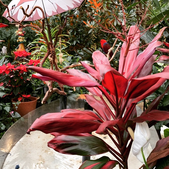 Meet your Posher, Tahmina - Picture 1 of 1